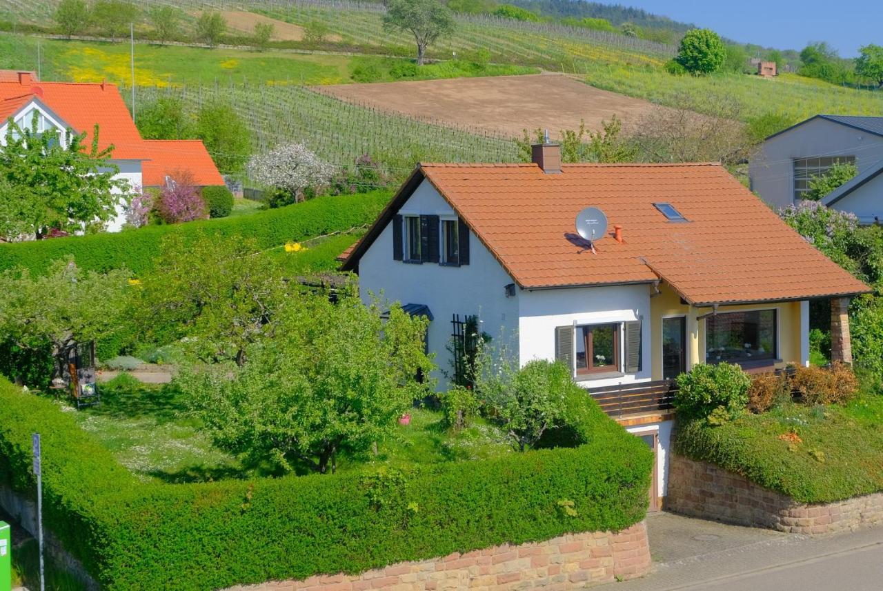 Ferienweingut Wissing Wohnung Theo Gleiszellen-Gleishorbach Zewnętrze zdjęcie