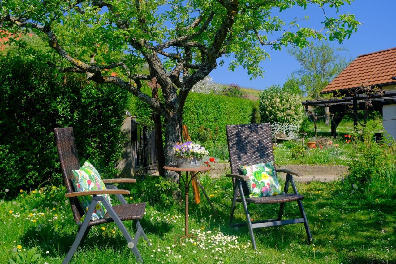 Ferienweingut Wissing Wohnung Theo Gleiszellen-Gleishorbach Zewnętrze zdjęcie